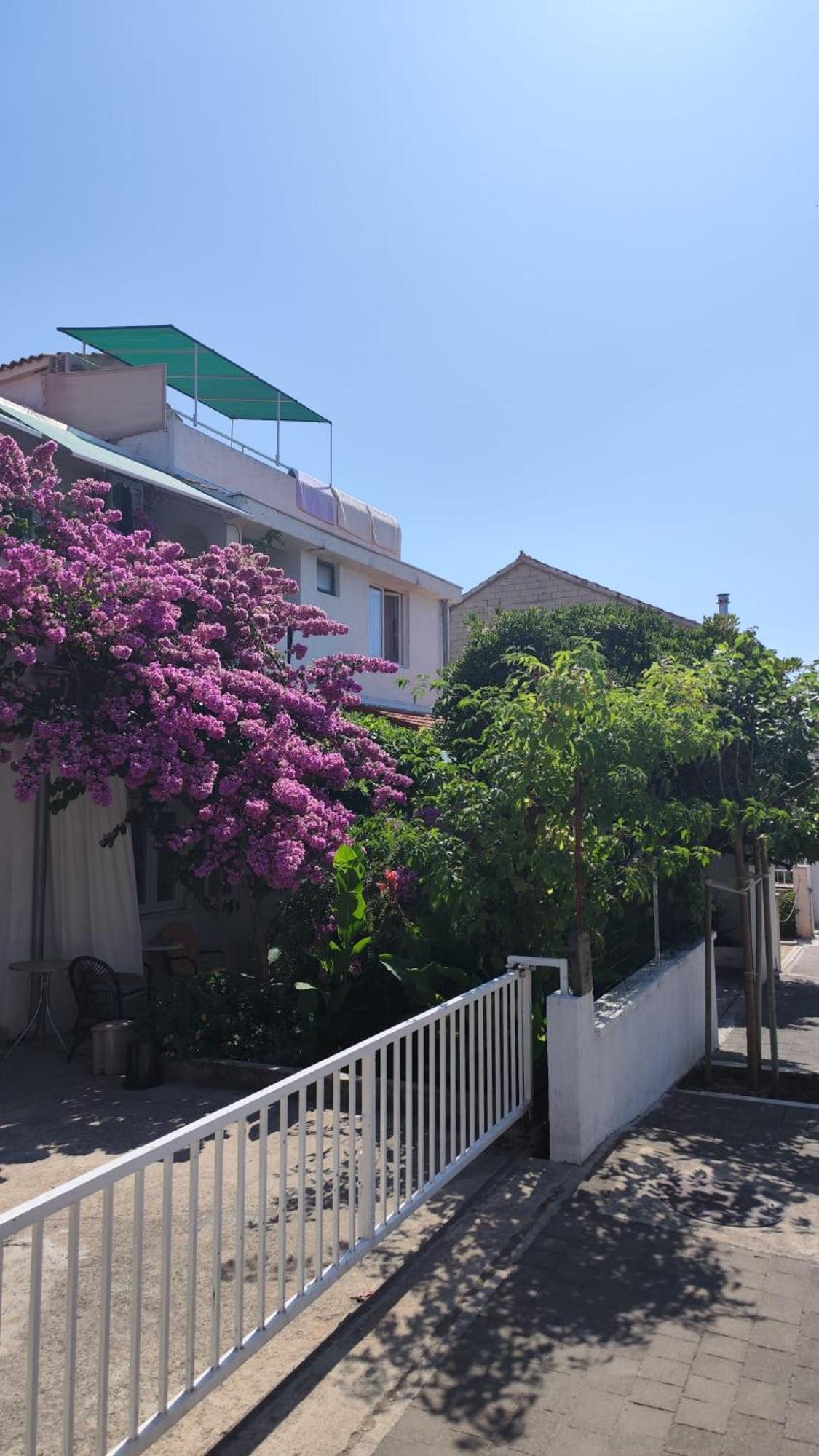 Apartments Suri Βόντιτσε Εξωτερικό φωτογραφία